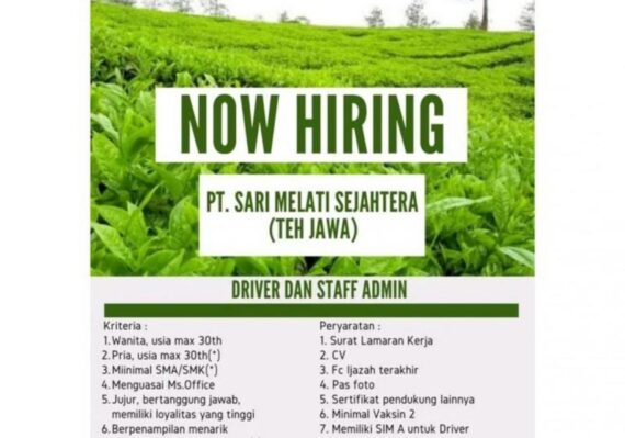 lowongan kerja supir pribadi di padang_24ad01378.jpg