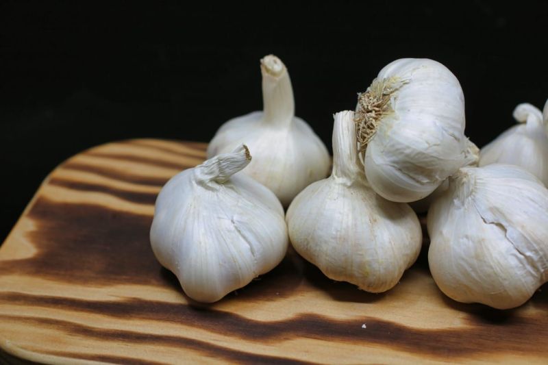Makan Bawang Putih Sebelum Tidur