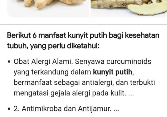 manfaat bubuk kunyit untuk kesehatan_a67733a89.jpg