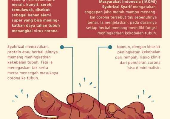manfaat jahe merah untuk jantung_a15b64318.jpg