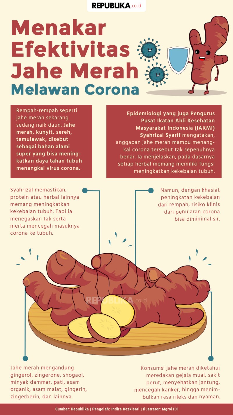 Manfaat Jahe Merah Untuk Jantung