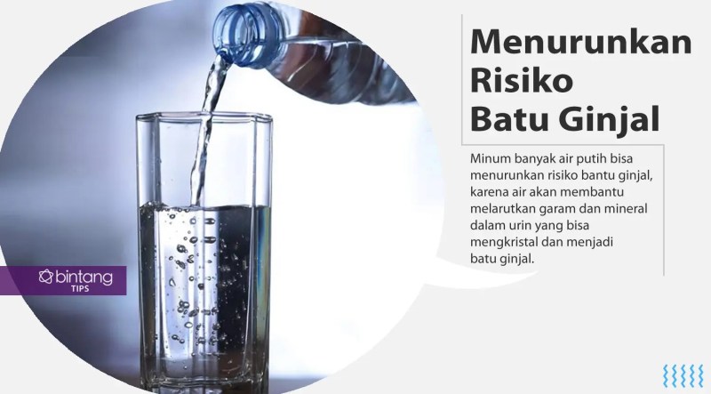 Manfaat Minum Air Putih 1 Liter Sehari
