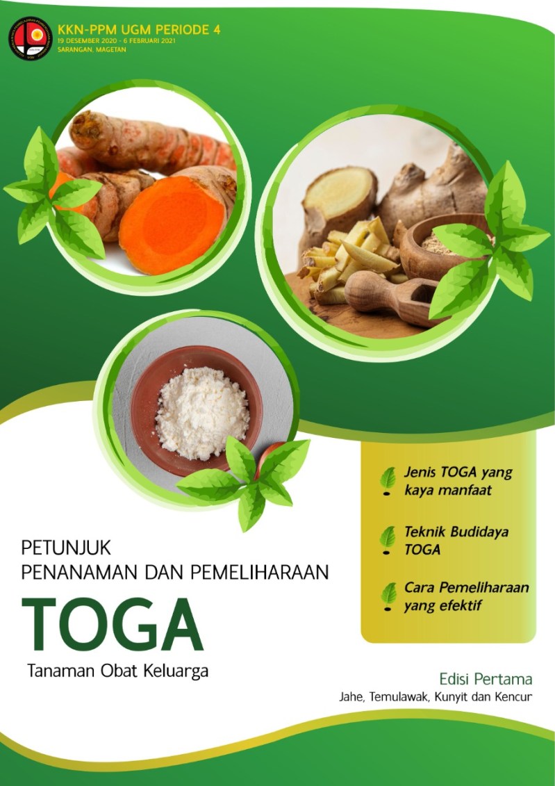 Temulawak Kunyit Jahe Dan Kencur Merupakan Contoh Tanaman
